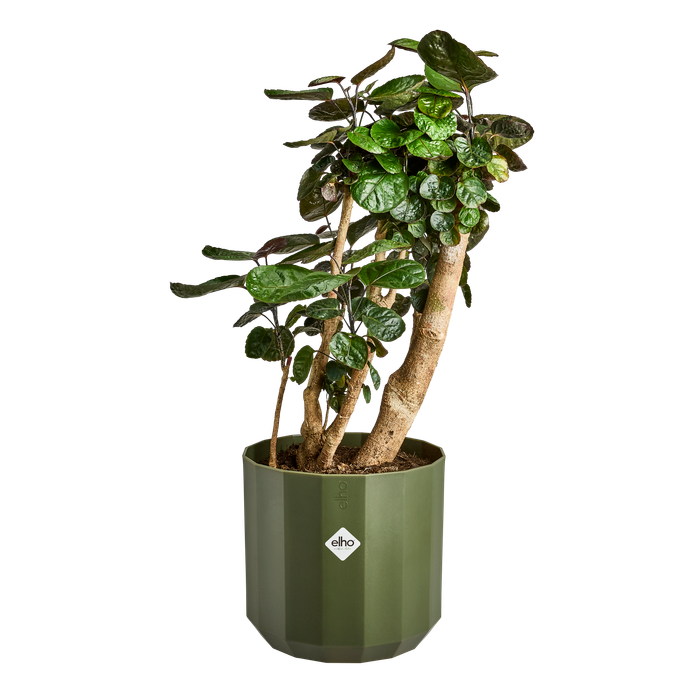 facet round 35cm forest green